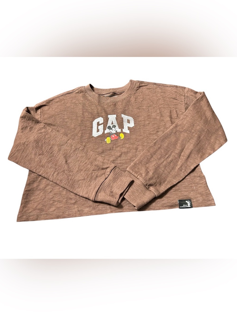 GAP Brown Long-Sleeve Tee with Small Character Accent